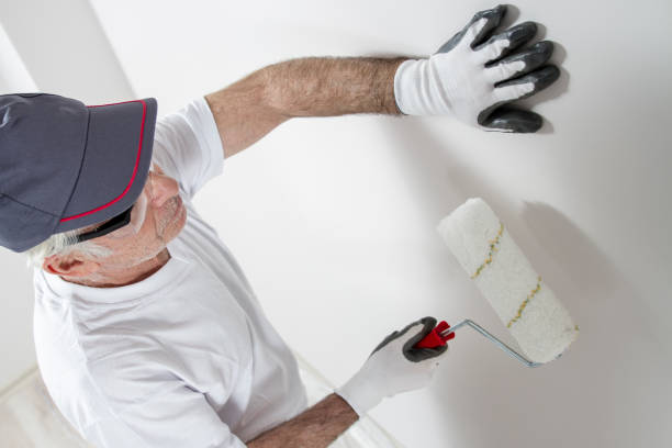 Professional Drywall and Painting Service in Hercules, CA